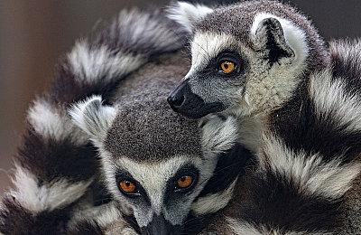 大宇资讯模拟经营RPG《仙剑客栈2》上线Steam 2022年推出